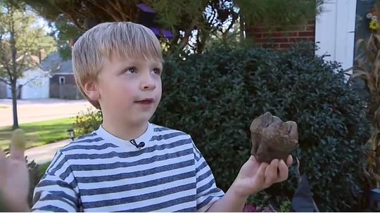 Đi chơi, bé 6 tuổi khai quật hóa thạch quái thú kỷ băng hà - Ảnh 1.