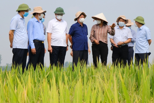 Bộ trưởng Lê Minh Hoan: Ngành nông nghiệp tiếp tục là trụ đỡ của nền kinh tế - Ảnh 4.