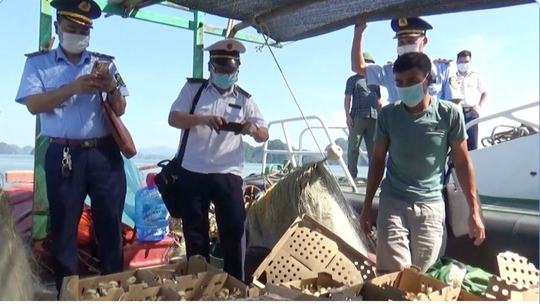 Bộ Tư lệnh Vùng Cảnh sát biển 1 bắt giữ vụ vận chuyển gà giống trên biển - Ảnh 1.