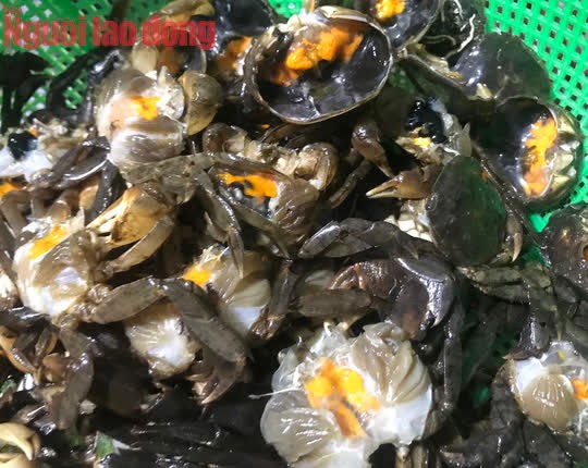 Mắm rạm má làm, ăn là mê! - Ảnh 1.