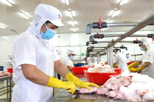 80% người lao động các KCX-KCN Thành phố Hồ Chí Minh đã trở lại nhà máy - Ảnh 1.