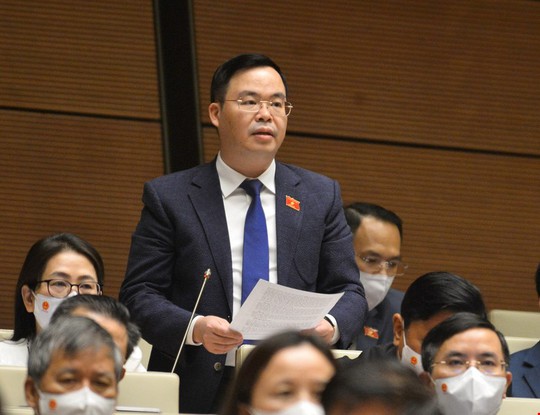 Đại biểu Phạm Khánh Phong Lan nói về bài học y tế cơ sở trong dịch Covid-19 - Ảnh 2.