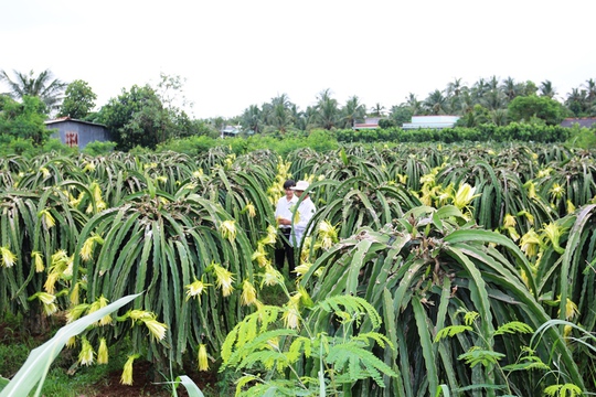 Agribank - điểm nhấn trong thành tựu nông nghiệp Việt Nam - Ảnh 3.