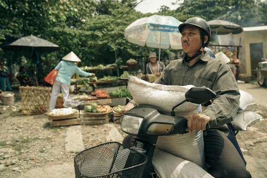 Bầu chọn hạng mục phim điện ảnh - truyền hình: Khán giả khó chọn lựa - Ảnh 1.