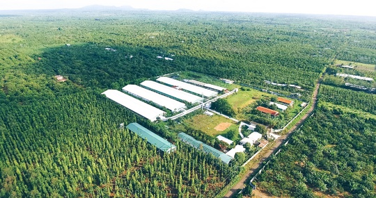 GREENFEED Việt Nam và hành trình “Nuôi dưỡng điều lành, đồng hành lớn mạnh” với chuỗi thực phẩm lành 3F plus - Ảnh 1.