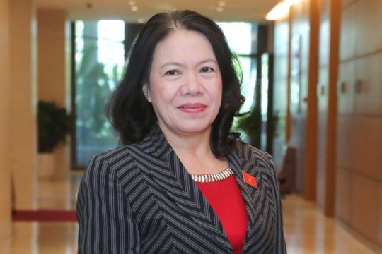 Nguyên Chủ tịch Hội chữ Thập đỏ Việt Nam Nguyễn Thị Xuân Thu bị cảnh cáo - Ảnh 1.