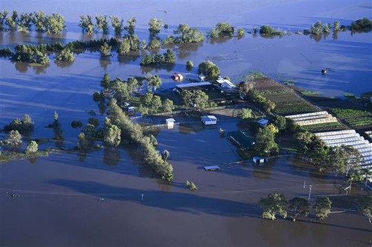 Úc: Chết kẹt trong xe hơi ngay ngày đầu nhận việc do lũ lụt kinh hoàng - Ảnh 3.