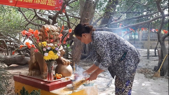 CLIP: Ngất ngây trước vẻ đẹp yên bình của rừng gừa ở miền Tây - Ảnh 8.