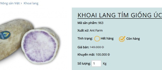Khuyến mãi sâu, khoai lang tím Úc vẫn có giá 100.000 đồng/kg - Ảnh 3.