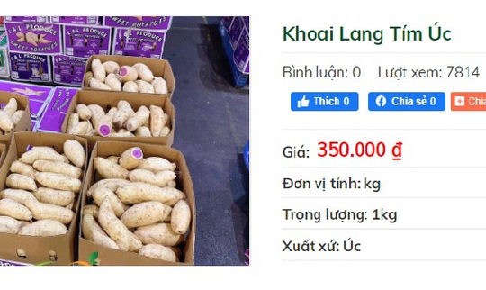 Khuyến mãi sâu, khoai lang tím Úc vẫn có giá 100.000 đồng/kg - Ảnh 1.