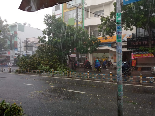 Video: Cảnh thót tim cây xanh ngã trong cơn mưa chiều ở TP HCM - Ảnh 3.