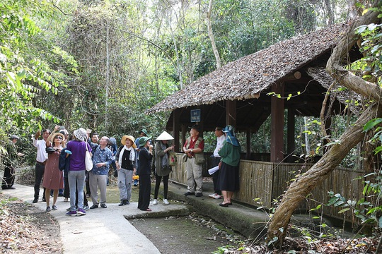 Một miền rừng xanh thẳm, hào hùng - Ảnh 4.