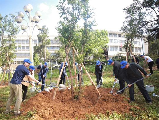 Novaland tiên phong đồng hành, giúp Lâm Đồng thêm xanh - Ảnh 1.