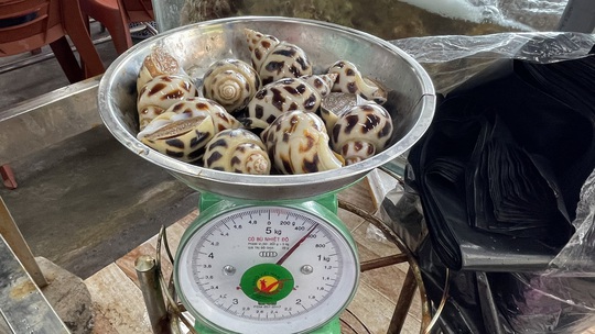 Xử phạt nhà hàng bị tố chặt chém 1,8 triệu đồng/kg ốc hương - Ảnh 4.