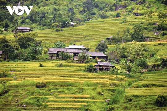 Ngắm Hoàng Su Phì đẹp tựa tiên cảnh khi bước vào mùa vàng - Ảnh 13.