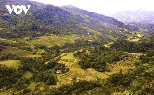 Ngắm Hoàng Su Phì đẹp tựa tiên cảnh khi bước vào mùa vàng - Ảnh 18.