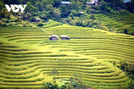 Ngắm Hoàng Su Phì đẹp tựa tiên cảnh khi bước vào mùa vàng - Ảnh 19.