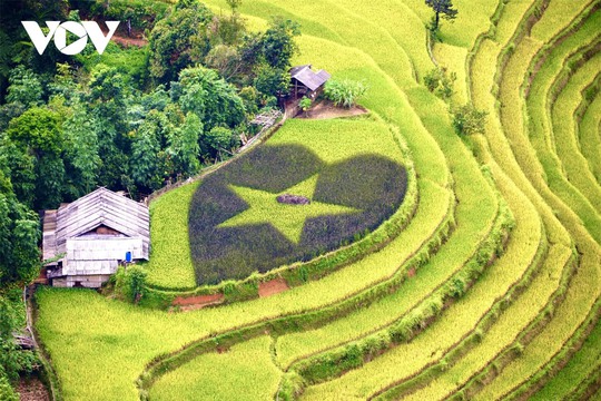 Ngắm Hoàng Su Phì đẹp tựa tiên cảnh khi bước vào mùa vàng - Ảnh 20.