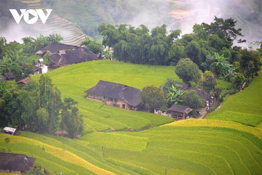 Ngắm Hoàng Su Phì đẹp tựa tiên cảnh khi bước vào mùa vàng - Ảnh 4.