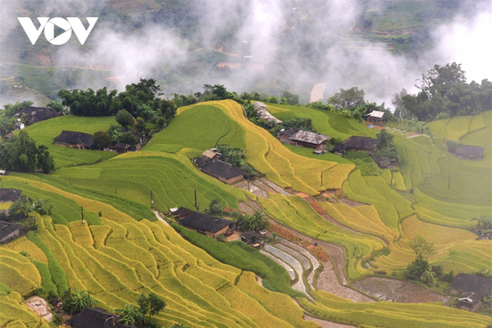 Ngắm Hoàng Su Phì đẹp tựa tiên cảnh khi bước vào mùa vàng - Ảnh 5.