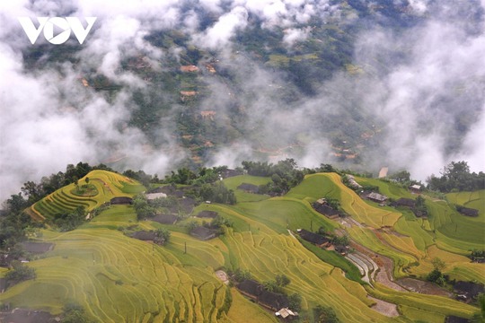 Ngắm Hoàng Su Phì đẹp tựa tiên cảnh khi bước vào mùa vàng - Ảnh 8.