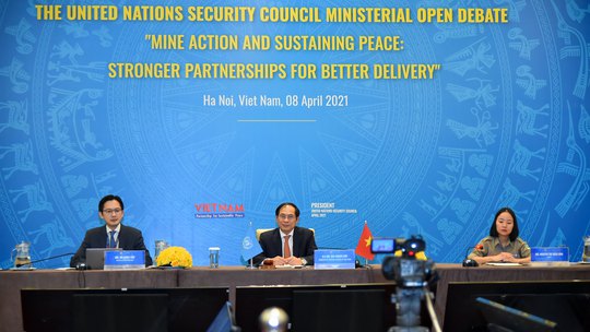 Diễn viên Dương Tử Quỳnh dự cuộc họp Liên Hiệp Quốc do Việt Nam chủ trì - Ảnh 7.
