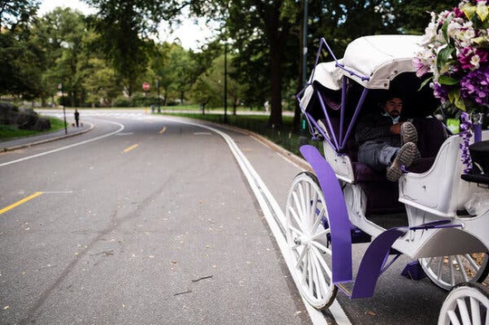 New York đang hấp hối - Ảnh 4.