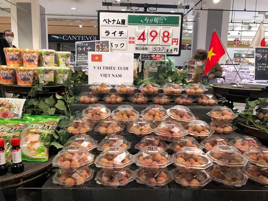 Bán gần hết 20 tấn vải thiều trong ngày đầu cập bến Nhật Bản, giá 350 ngàn đồng/kg - Ảnh 1.