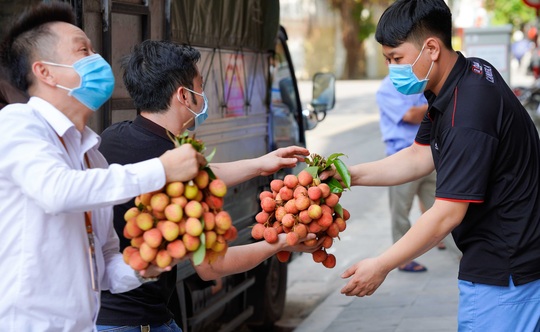 Đội nắng, xếp hàng mua vải ủng hộ nông dân Bắc Giang - Ảnh 2.
