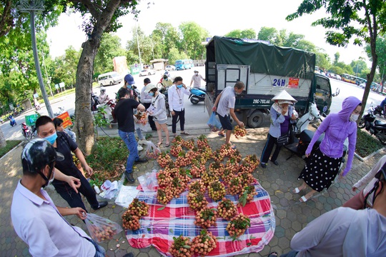 Đội nắng, xếp hàng mua vải ủng hộ nông dân Bắc Giang - Ảnh 3.
