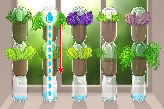 Cách tạo khu vườn bên cửa sổ - Ảnh 1.