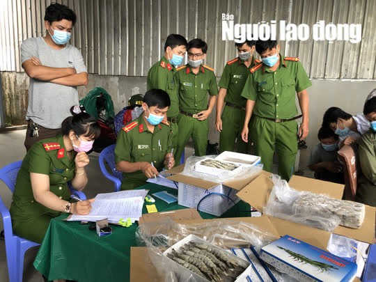 CLIP: Bắt tại trận hơn 12.500kg tôm bị gian thương bơm tạp chất - Ảnh 2.
