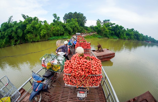 Cận cảnh nông dân chở vải thót tim đi qua cây cầu có con dốc dựng đứng - Ảnh 1.