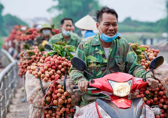 Cận cảnh nông dân chở vải thót tim đi qua cây cầu có con dốc dựng đứng - Ảnh 6.