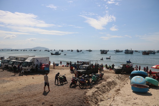 Ngư dân Bình Thuận trúng mùa cá cơm - Ảnh 4.