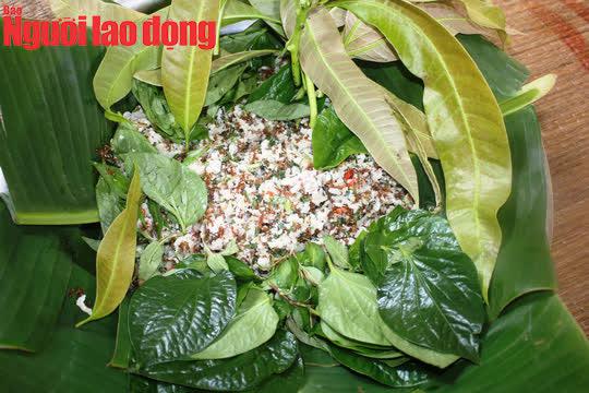 Gỏi kiến vàng trứ danh của người Rơ Măm - Ảnh 3.