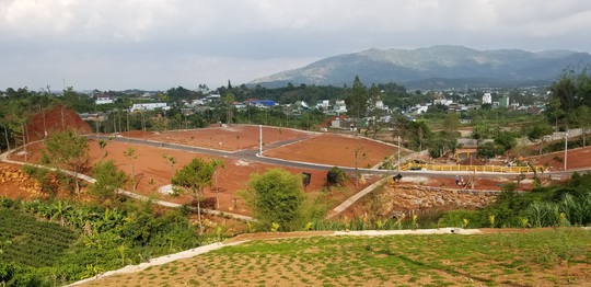 Lâm Đồng yêu cầu tạm đình chỉ công tác Trưởng Phòng Quản lý Đô thị TP Bảo Lộc - Ảnh 2.