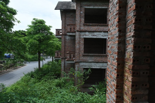 CLIP: Hàng loạt biệt thự bỏ hoang, khu đô thị ở Hà Nội thành nơi chăn thả bò - Ảnh 10.