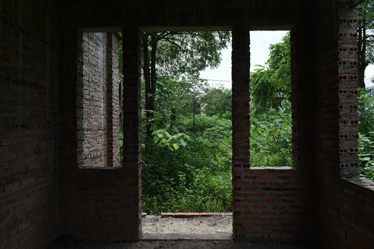CLIP: Hàng loạt biệt thự bỏ hoang, khu đô thị ở Hà Nội thành nơi chăn thả bò - Ảnh 8.