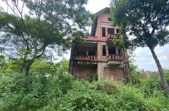 CLIP: Hàng loạt biệt thự bỏ hoang, khu đô thị ở Hà Nội thành nơi chăn thả bò - Ảnh 4.