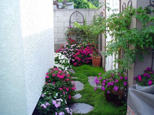Những mẫu vườn mini cho nhà nhỏ ‘xua tan’ nóng bức ngày hè - Ảnh 1.