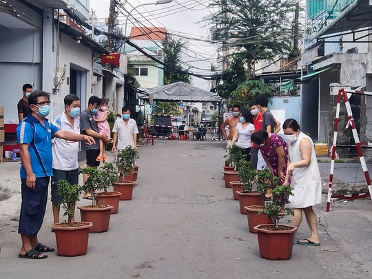 Cuộc thi chăm sóc cây trong xóm cách ly - Ảnh 1.