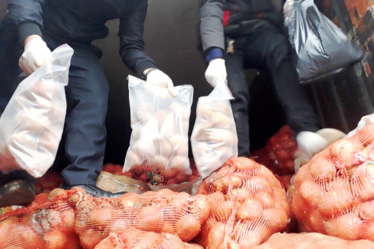 Tạm giữ 29 tấn khoai tây Trung Quốc ngược lên Đà Lạt giữa lúc dịch bệnh - Ảnh 2.
