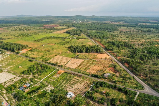 Dòng tiền dịch chuyển từ đất nền sang chung cư - Ảnh 1.