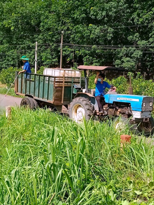 Tuổi trẻ Đồng Xoài gây quỹ phòng chống dịch với nhiều cách làm sáng tạo - Ảnh 5.