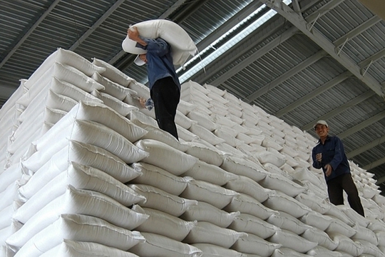 Bình Phước, Bạc Liêu, Sóc Trăng được cấp hơn 4.000 tấn gạo hỗ trợ người dân trong dịch Covid-19 - Ảnh 1.