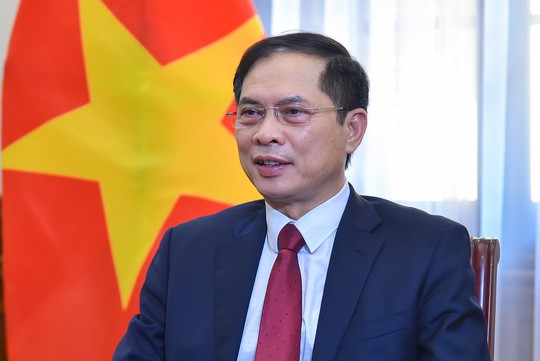 Bộ trưởng Ngoại giao Bùi Thanh Sơn: Giải quyết nhu cầu chính đáng của kiều bào - Ảnh 1.