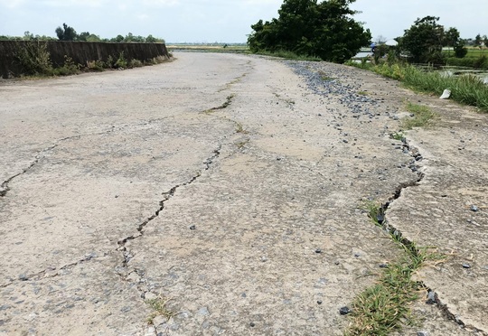 Đê tả sông Mã hơn 100 tỉ đồng nứt nẻ trước mùa mưa bão ở Thanh Hóa - Ảnh 11.