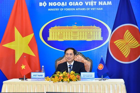 Bộ trưởng Ngoại giao Việt Nam - Nhật Bản bắt tay trực tuyến - Ảnh 2.