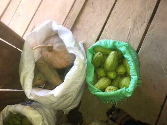 Gửi sản vật cho người dân TP HCM, bà con Trà Leng muốn đền đáp ân tình - Ảnh 3.